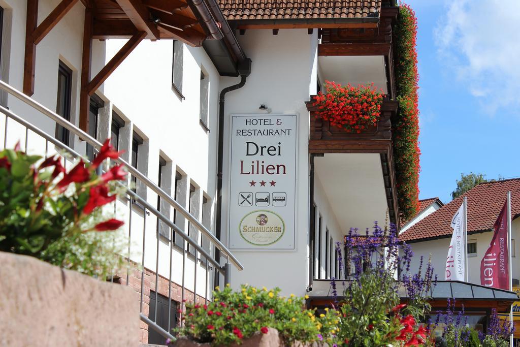 Hotel Drei Lilien Waldbrunn  Exterior photo
