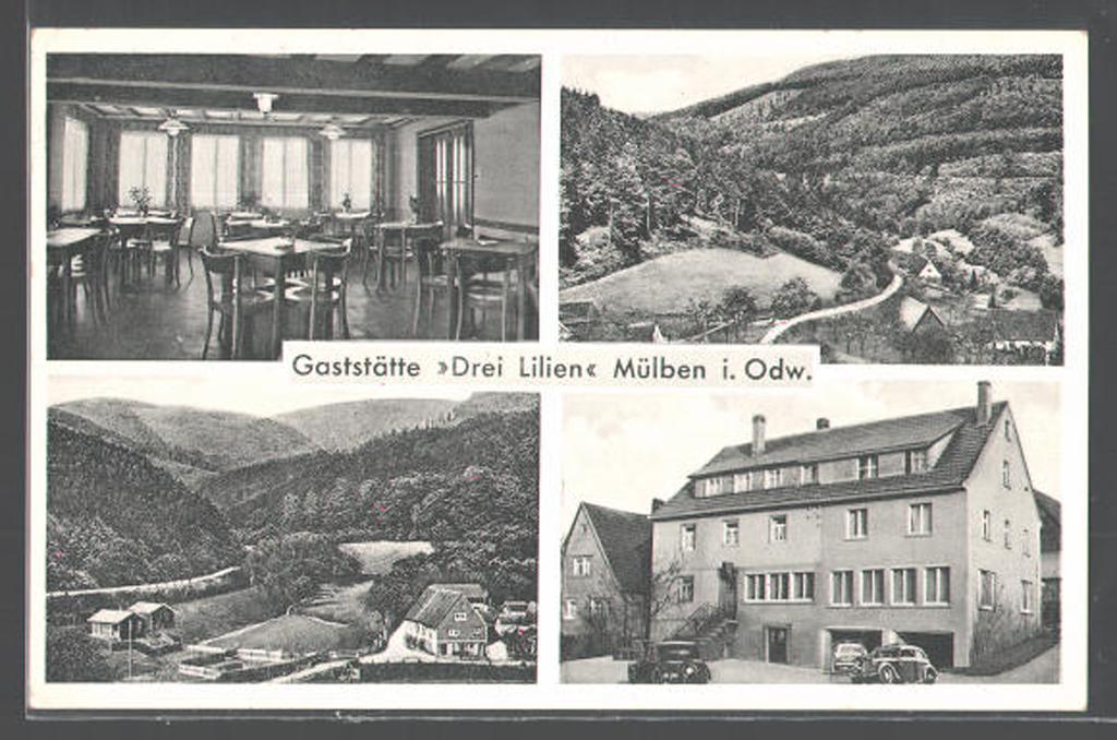 Hotel Drei Lilien Waldbrunn  Exterior photo