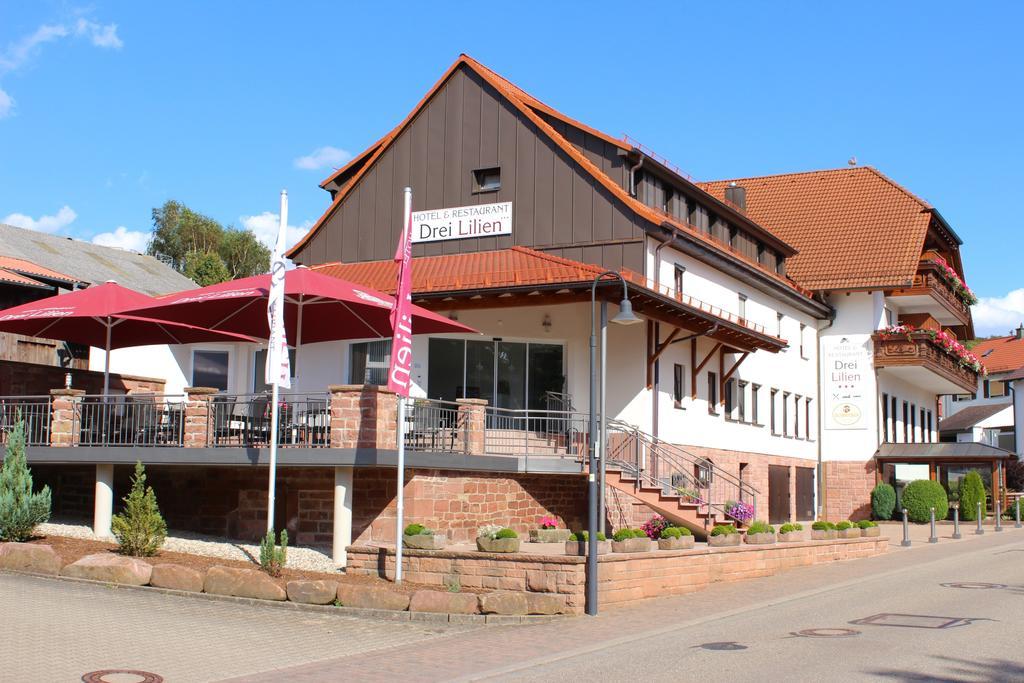 Hotel Drei Lilien Waldbrunn  Exterior photo